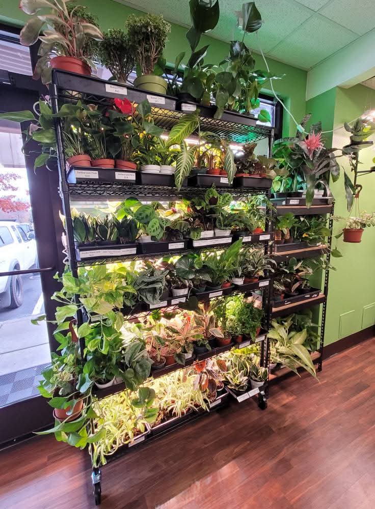 High Desert Geckos Exotic Pets & Supplies Pet Store in Redmond - Photo 1